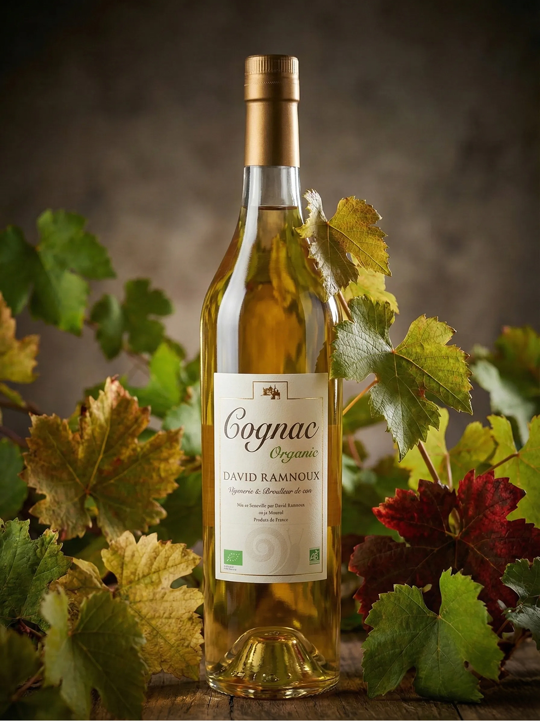 Cognac VSOP David Ramnoux